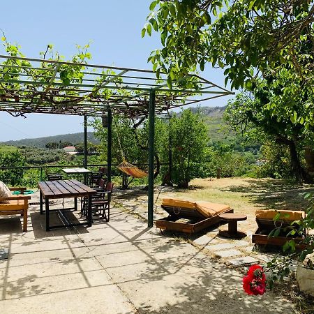 Temenia House Villa Kültér fotó