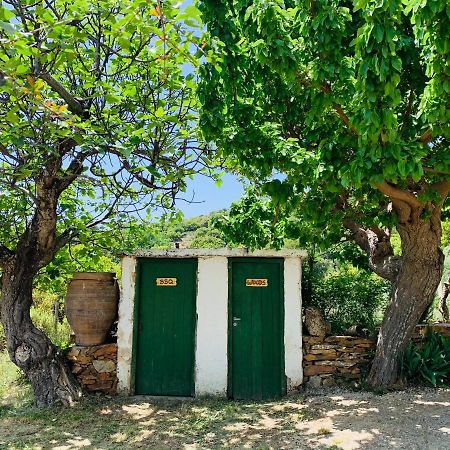 Temenia House Villa Kültér fotó