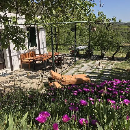 Temenia House Villa Kültér fotó