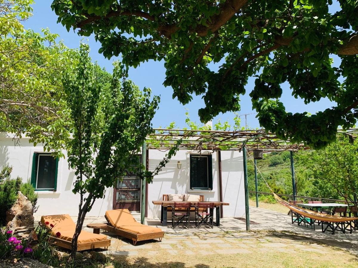 Temenia House Villa Kültér fotó