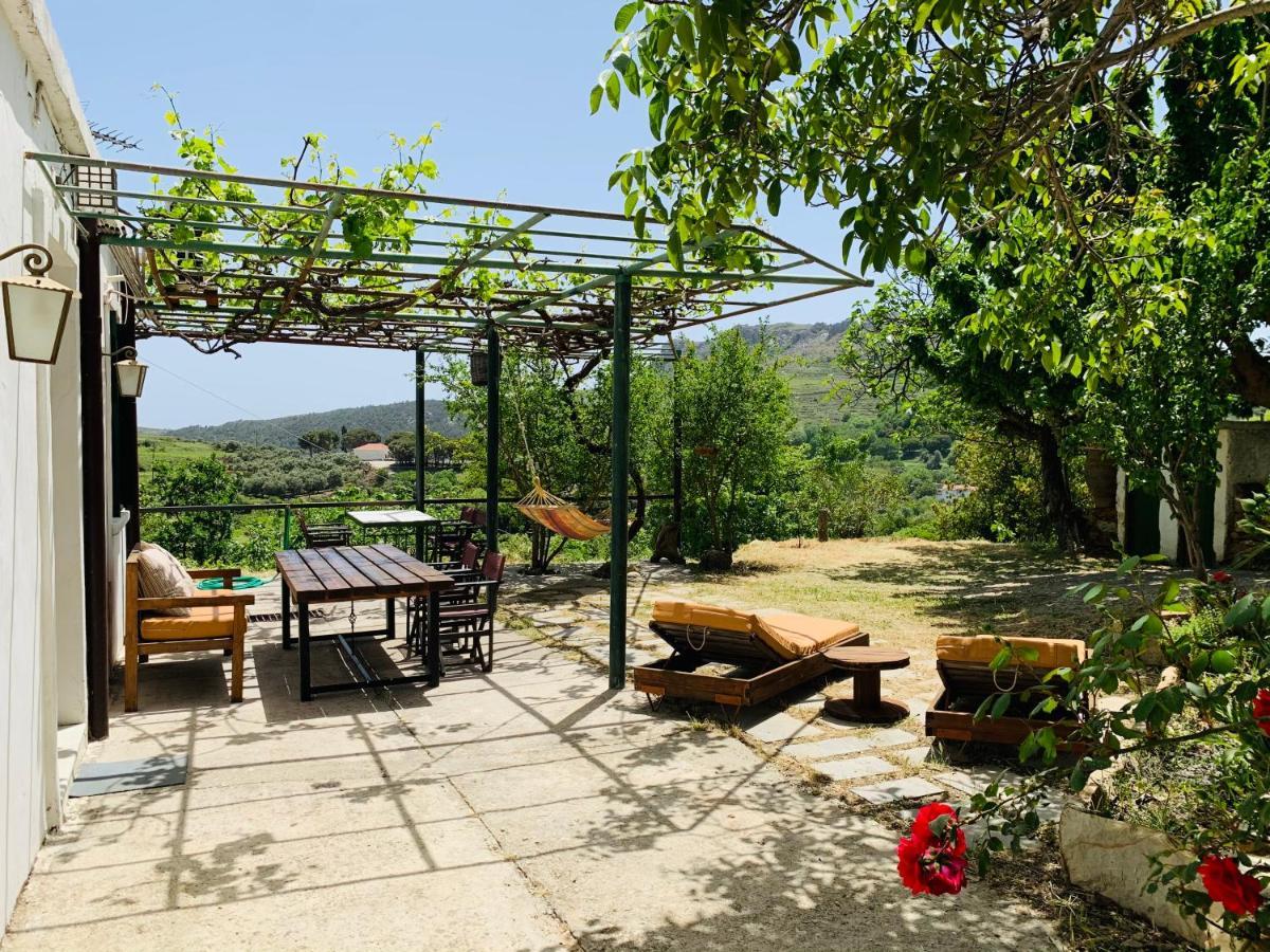 Temenia House Villa Kültér fotó