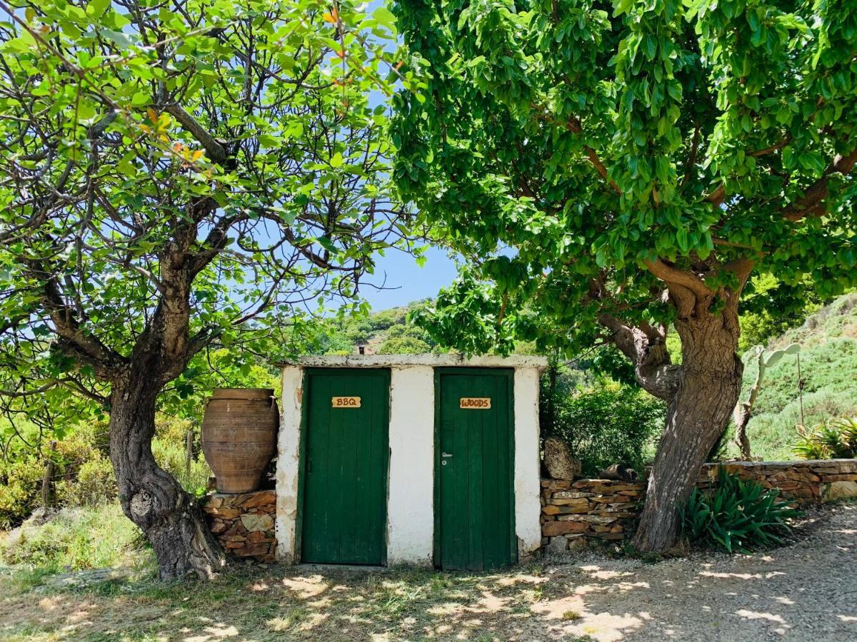 Temenia House Villa Kültér fotó
