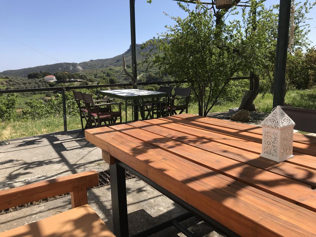 Temenia House Villa Kültér fotó