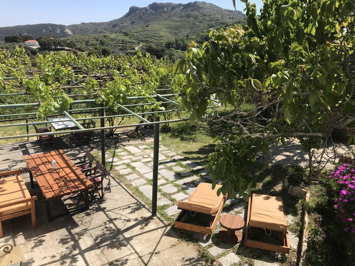 Temenia House Villa Kültér fotó
