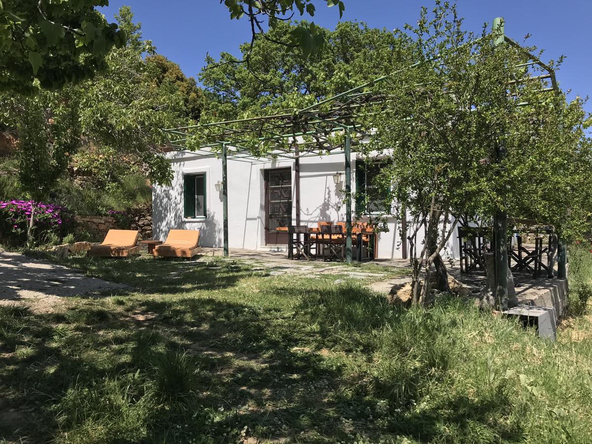 Temenia House Villa Kültér fotó