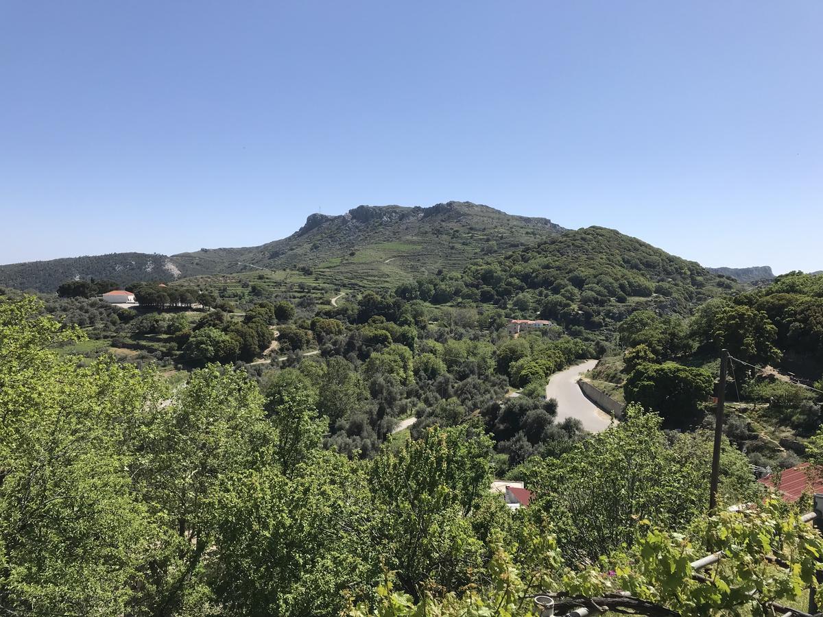 Temenia House Villa Kültér fotó