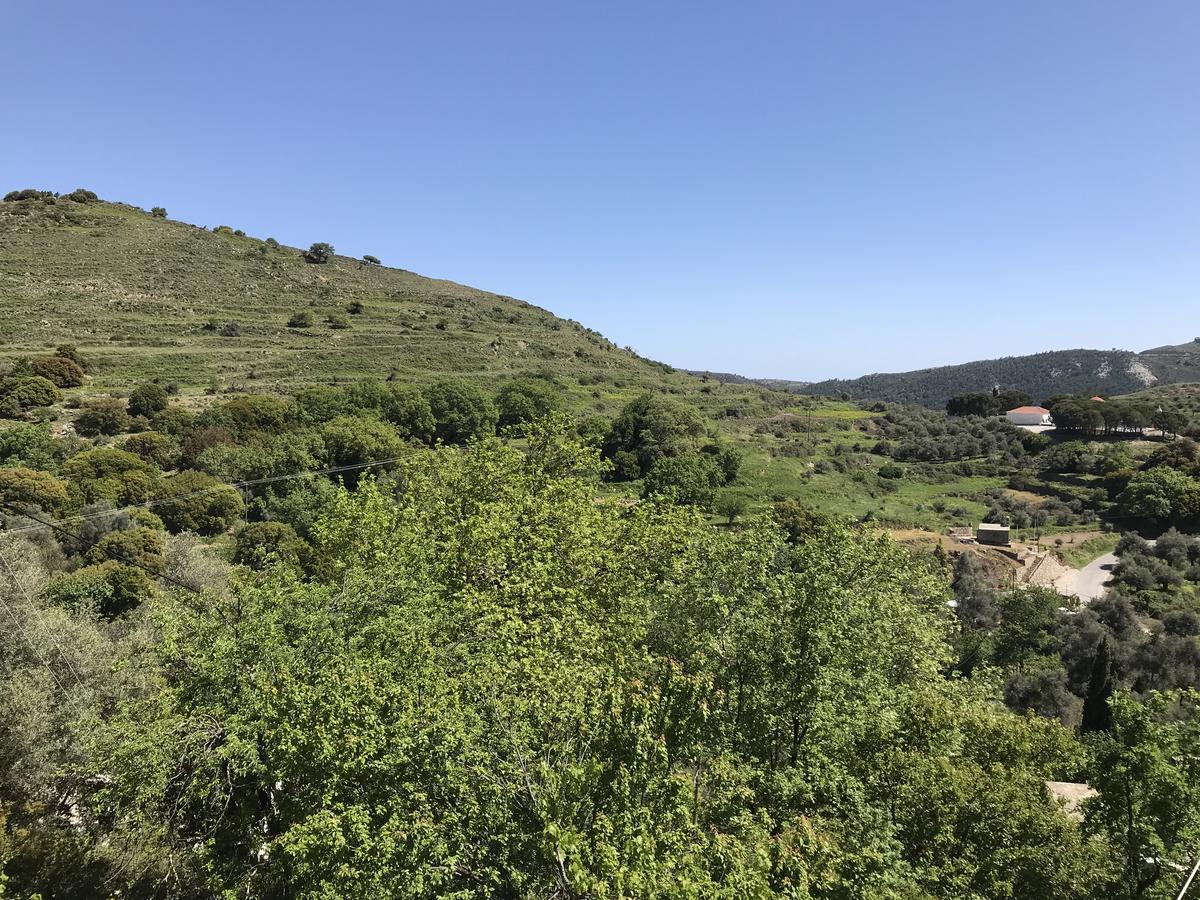 Temenia House Villa Kültér fotó