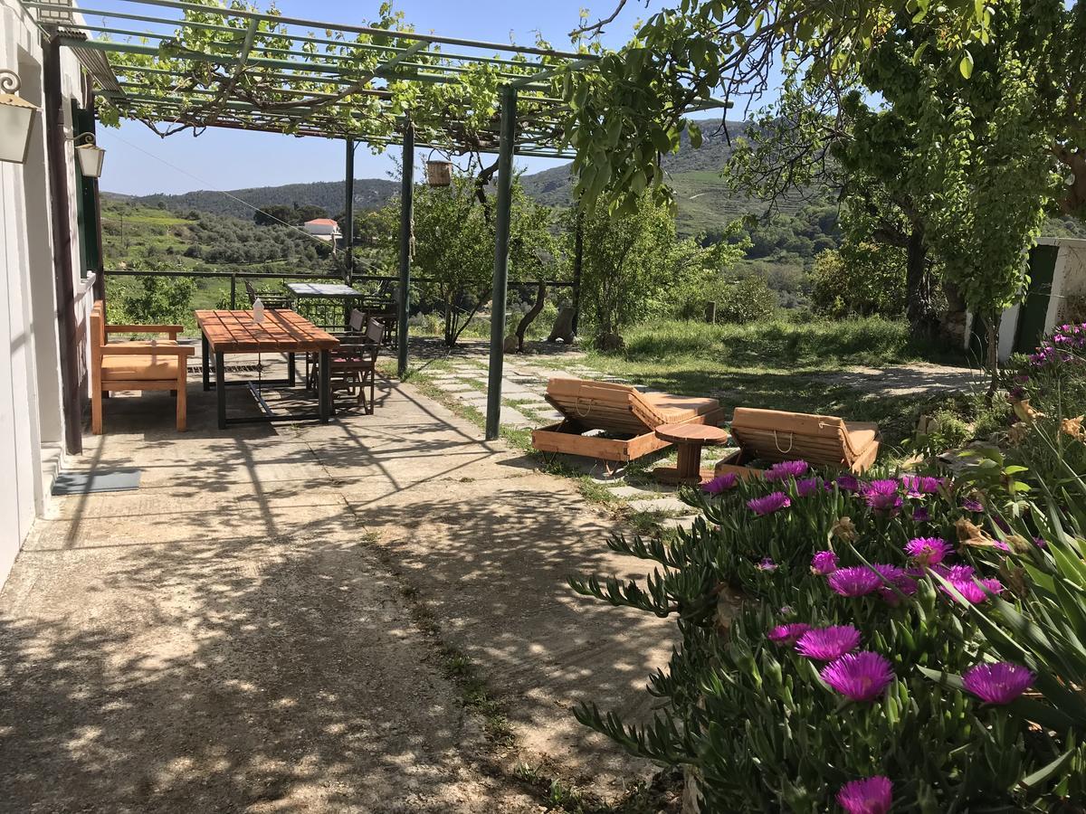 Temenia House Villa Kültér fotó