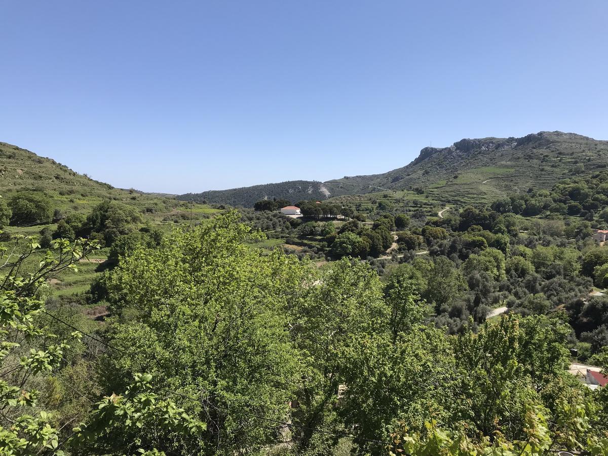 Temenia House Villa Kültér fotó